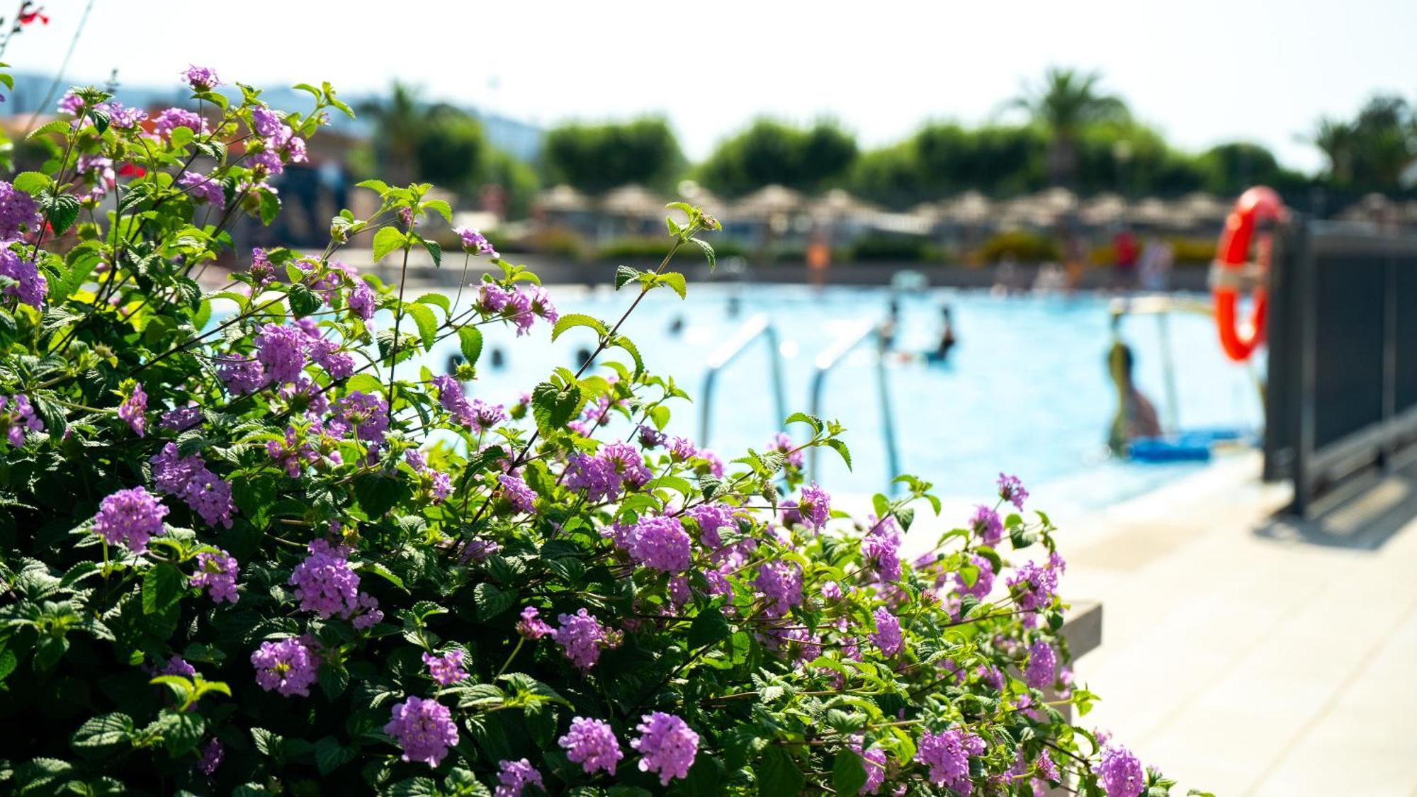 Camping Riembau Platja d'Aro Exterior photo